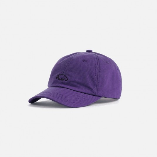 Кепка Anteater 6-Panel фиолетовая 