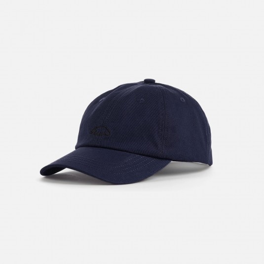 Кепка Anteater 6-Panel синяя 
