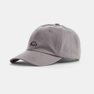 Кепка Anteater 6-Panel серая
