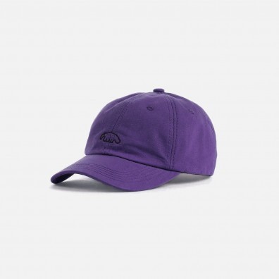 Кепка Anteater 6-Panel фиолетовая 