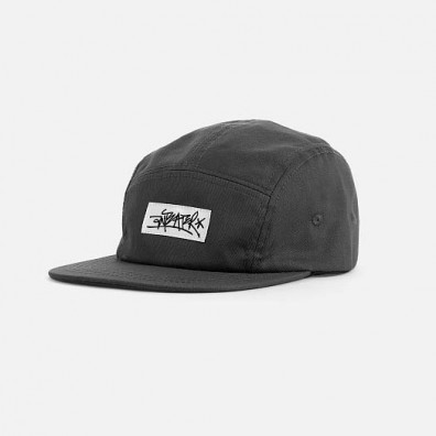 Кепка Anteater 5-Panel серая 