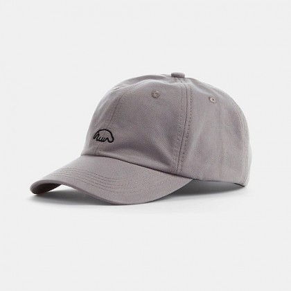 Кепка Anteater 6-Panel серая