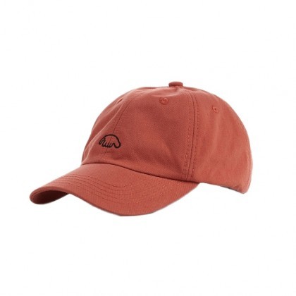 Кепка Anteater 6-Panel коралловая 