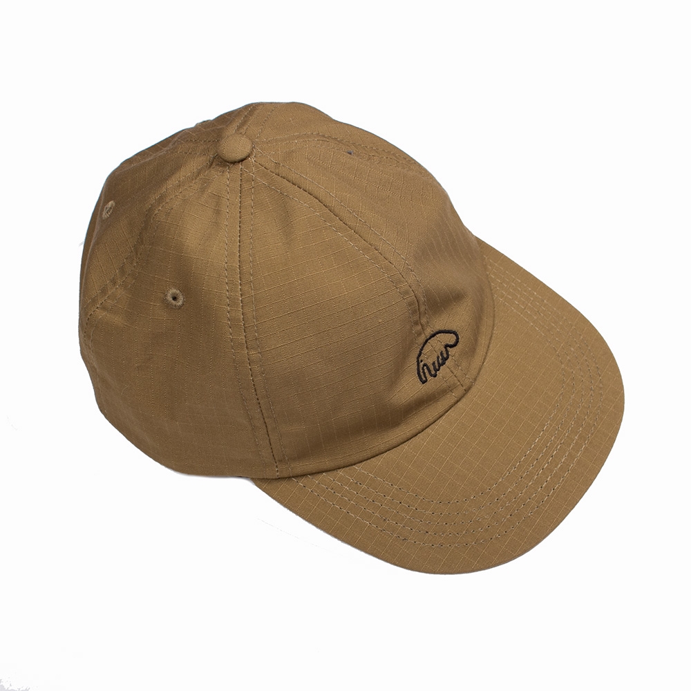 Кепка anteater. Кепка Anteater Panel. Кепка Anteater 6 Panel-Black. Кепка антитер вельветовая. Anteater Clothing кепка.